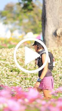 BIB:  <button type="button" onclick="openModal(27583544)" class="btn btn-primary btn-sm float-right" data-toggle="modal" data-target=".modal-high-quality">
                <i class="fa fa-download"></i> Download
                </button>